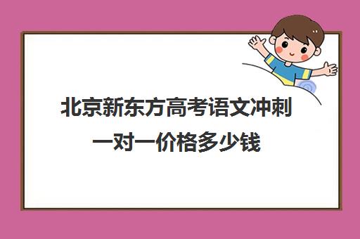 北京新东方高考语文冲刺一对一价格多少钱（新东方语文有必要上吗）