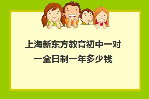 上海新东方教育初中一对一全日制一年多少钱(新东方学费多少一年)