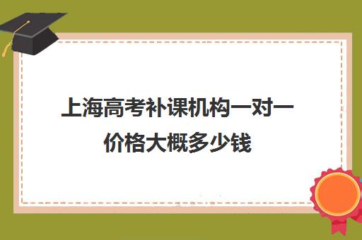 上海高考补课机构一对一价格大概多少钱(初中一对一辅导哪个好)