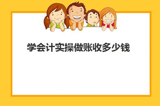 学会计实操做账收多少钱(会计做账软件)