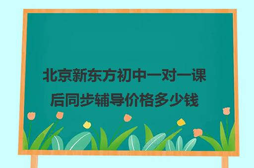 北京新东方初中一对一课后同步辅导价格多少钱（新东方初中一对一收费价格表）