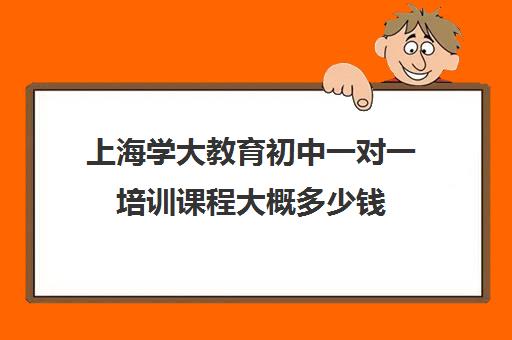 上海学大教育初中一对一培训课程大概多少钱（初中一对一辅导哪个好）