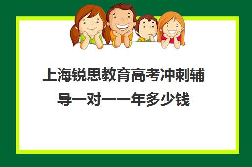 上海锐思教育高考冲刺辅导一对一一年多少钱（上海高考一对一价格）