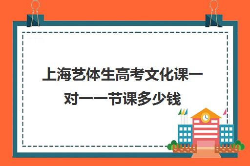 上海艺体生高考文化课一对一一节课多少钱(上海高中一对一补课多少钱一小时)