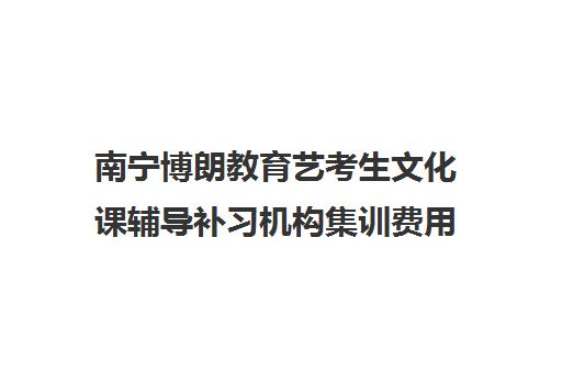 南宁博朗教育艺考生文化课辅导补习机构集训费用多少钱