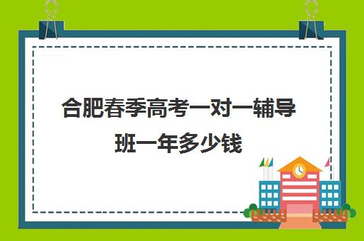 合肥春季高考一对一辅导班一年多少钱(合肥高考冲刺班哪家好)