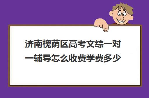 济南槐荫区高考文综一对一辅导怎么收费学费多少钱(一对一补课收费标准)