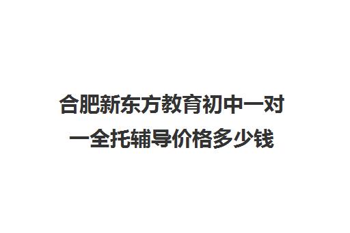 合肥新东方教育初中一对一全托辅导价格多少钱(新东方初三一对一价格表)