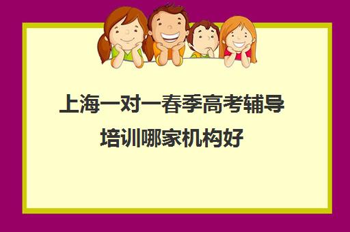 上海一对一春季高考辅导培训哪家机构好(上海高考一对一价格)