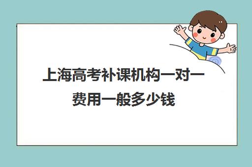 上海高考补课机构一对一费用一般多少钱(上海高中一对一补课多少钱一小时)