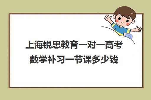 上海锐思教育一对一高考数学补习一节课多少钱