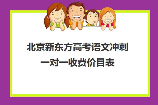 北京新东方高考语文冲刺一对一收费价目表（新东方价格学费是多少）