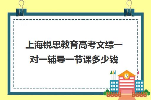 上海锐思教育高考文综一对一辅导一节课多少钱（上海高考教辅推荐）