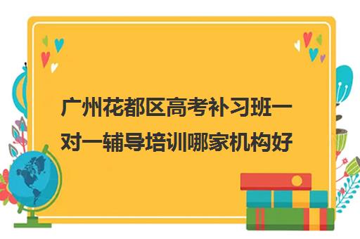 广州花都区高考补习班一对一辅导培训哪家机构好