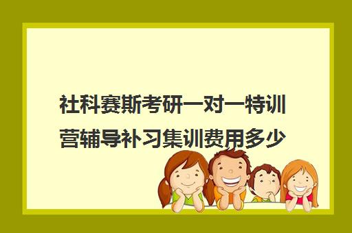 社科赛斯考研一对一特训营辅导补习集训费用多少钱