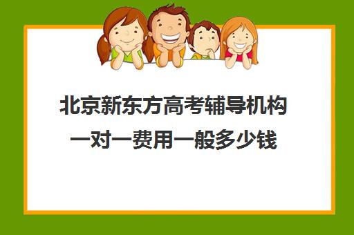 北京新东方高考辅导机构一对一费用一般多少钱（新东方一对一效果如何）