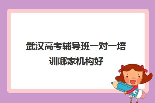 武汉高考辅导班一对一培训哪家机构好(武汉高中一对一辅导机构哪家好)