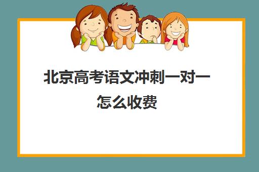 北京高考语文冲刺一对一怎么收费(高考冲刺班一般收费)