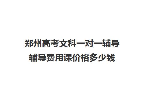 郑州高考文科一对一辅导辅导费用课价格多少钱(文科高三200分提到500)