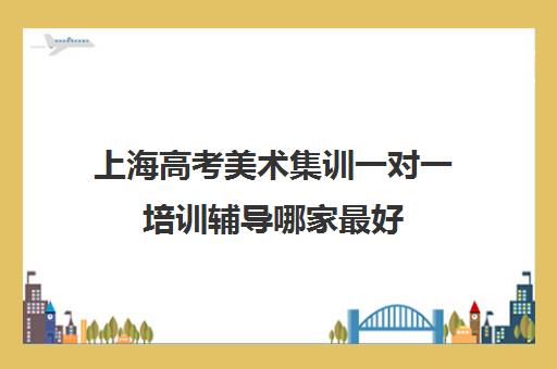 上海高考美术集训一对一培训辅导哪家最好(上海艺考培训机构排行榜前十)