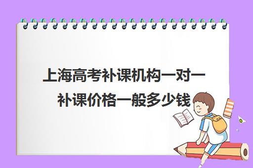 上海高考补课机构一对一补课价格一般多少钱(一对一补课多少钱)