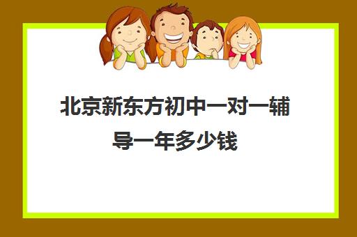 北京新东方初中一对一辅导一年多少钱（新东方小学辅导班价格表）