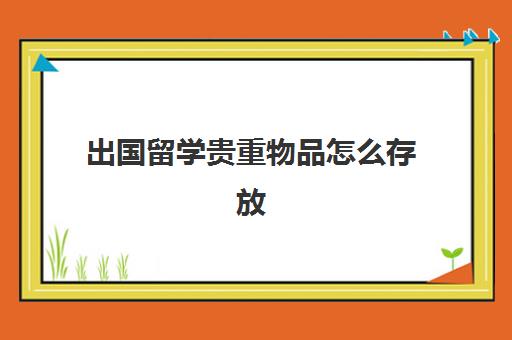 出国留学贵重物品怎么存放(出国攻略必备物品)