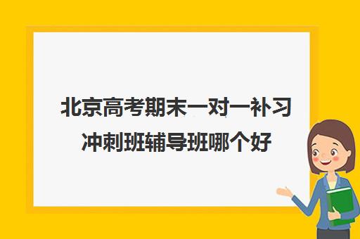 北京高考期末一对一补习冲刺班辅导班哪个好