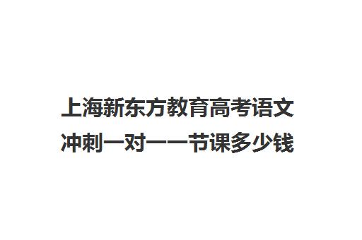 上海新东方教育高考语文冲刺一对一一节课多少钱(新东方全日制高考班收费)