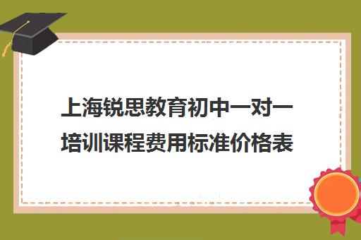 上海锐思教育初中一对一培训课程费用标准价格表（上海初中一对一补课费）