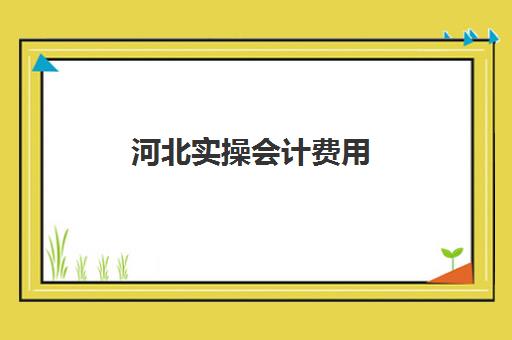 河北实操会计费用(保定理工会计学费)