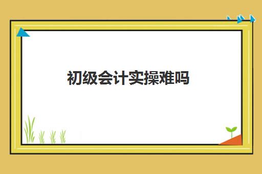 初级会计实操难吗(初级会计难度大吗)