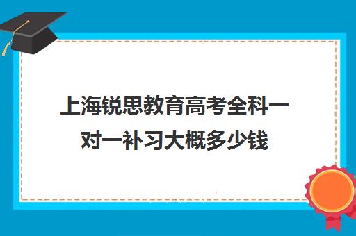 上海锐思教育高考全科一对一补习大概多少钱