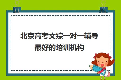 北京高考文综一对一辅导最好的培训机构(高考辅导机构排行榜是怎样的)