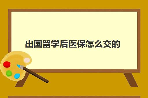 出国留学后医保怎么交的(出国留学国内医保怎么办)