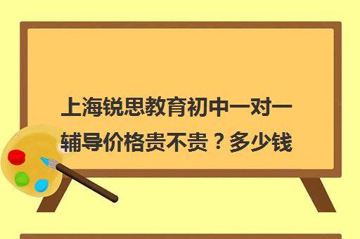 上海锐思教育初中一对一辅导价格贵不贵？多少钱一年（一对一50元一个小时贵不贵）