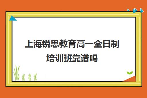 上海锐思教育高一全日制培训班靠谱吗（上海精锐一对一收费标准）