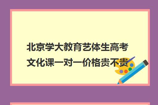 北京学大教育艺体生高考文化课一对一价格贵不贵？多少钱一年（艺考生一对一的辅导）