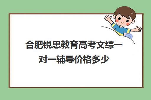 合肥锐思教育高考文综一对一辅导价格多少(上海高考补课机构排名)