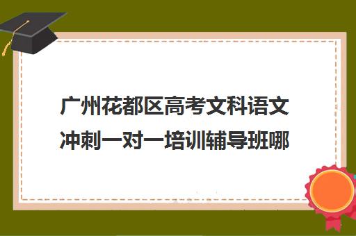 广州花都区高考文科语文冲刺一对一培训辅导班哪个好(口碑好的语文培训机构)