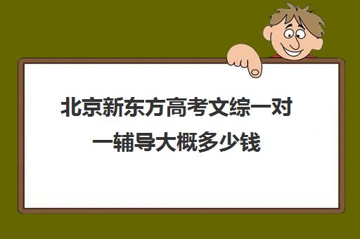 北京新东方高考文综一对一辅导大概多少钱（新东方补课有效果吗）