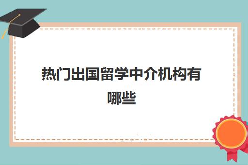 热门出国留学中介机构有哪些(国内大型出国留学中介)