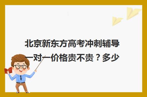 北京新东方高考冲刺辅导一对一价格贵不贵？多少钱一年（新东方高考复读班价格）