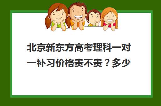 北京新东方高考理科一对一补习价格贵不贵？多少钱一年