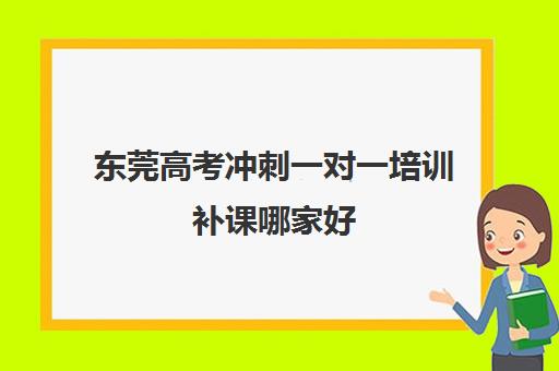 东莞高考冲刺一对一培训补课哪家好(一对一补课利弊)