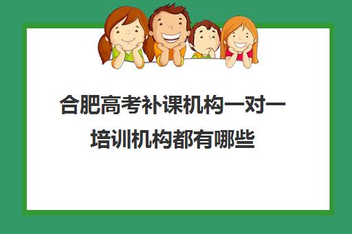 合肥高考补课机构一对一培训机构都有哪些(十大教育培训机构排名)