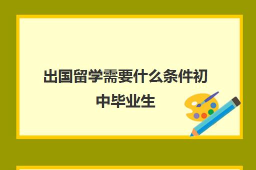 出国留学需要什么条件初中毕业生(留学申请条件需要什么)