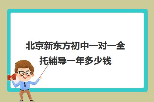 北京新东方初中一对一全托辅导一年多少钱（新东方初三一对一价格表）