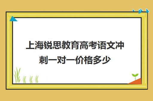 上海锐思教育高考语文冲刺一对一价格多少（上海高考补课机构排名）