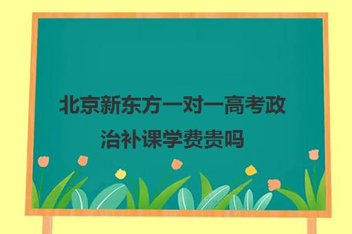 北京新东方一对一高考政治补课学费贵吗（初中补课一对一收费标准）